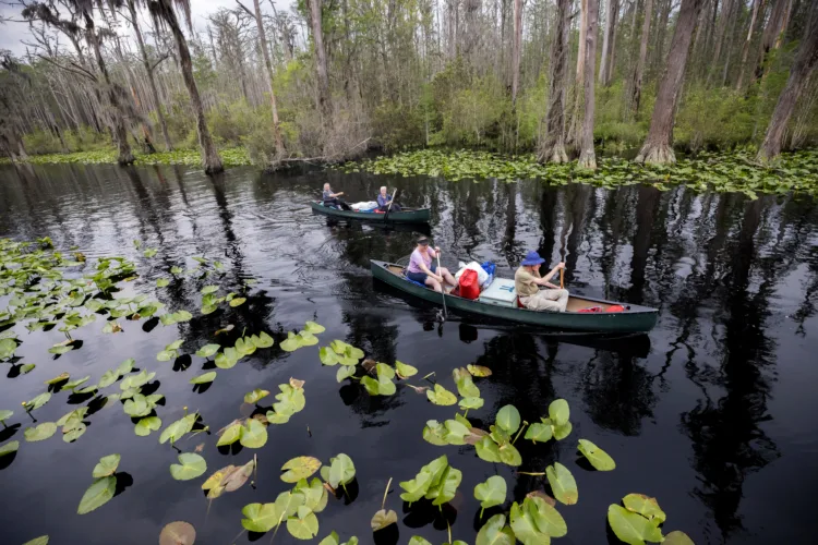 The Okefenokee is honored, but some locals aren’t celebrating